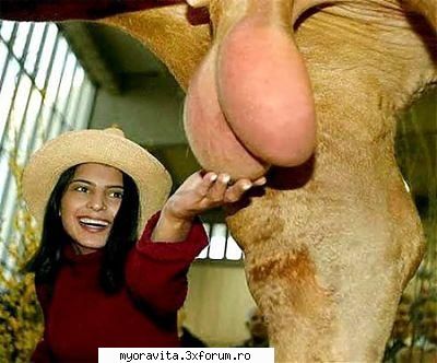 :rotfl:  :uimit: