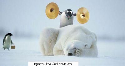 Pinguin nebun - CHINOOK MASTER - Funny