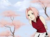 imagini sakura - bogdy_boss5 - Pagina copiilor
