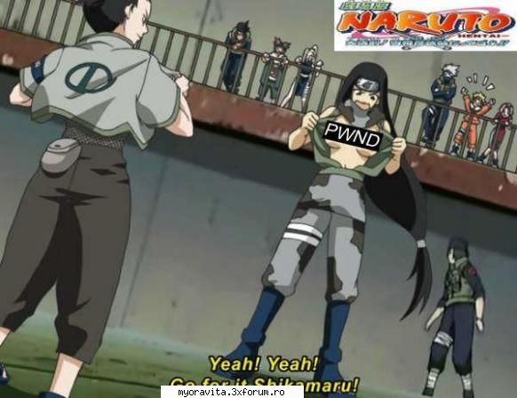 imagini ten ten and neji